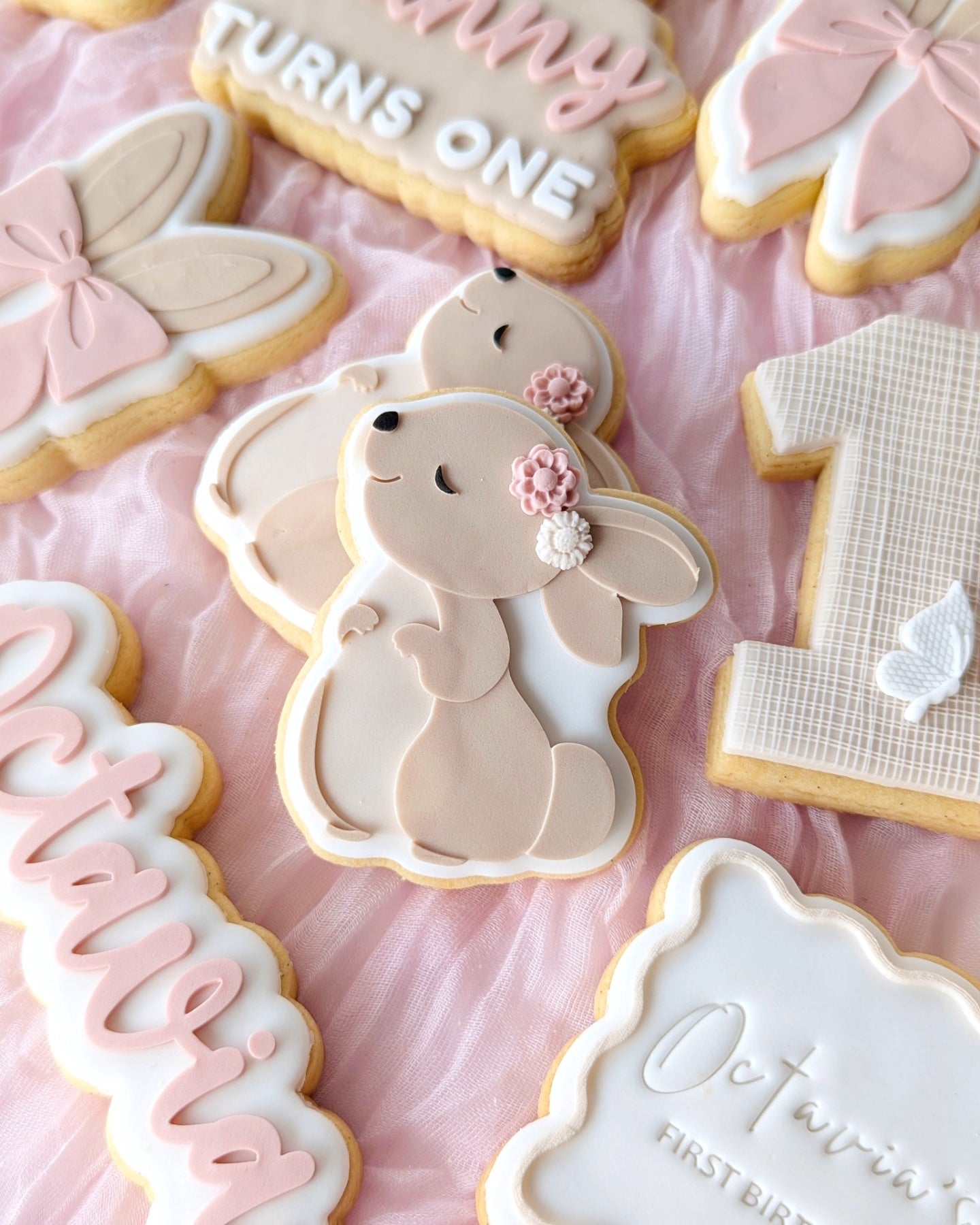 Sweet bunny