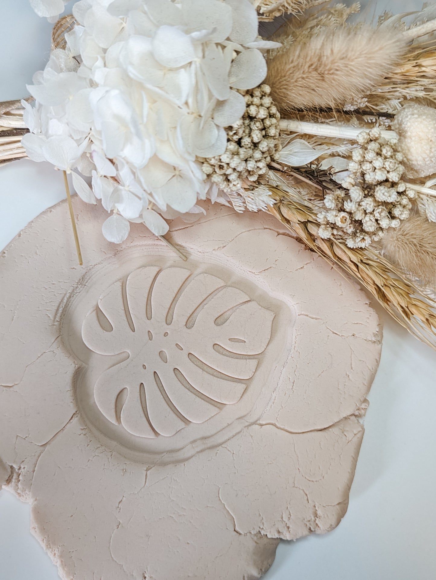 Monstera Leaf