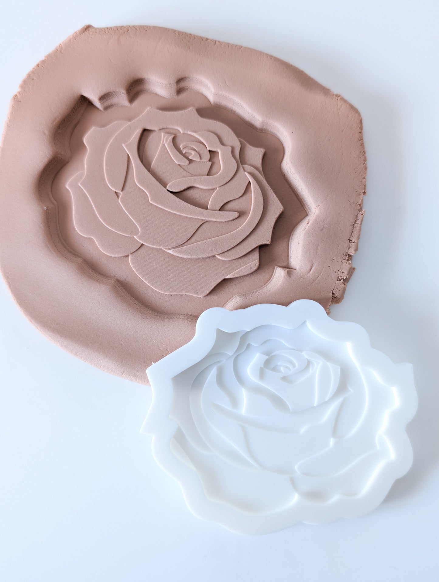 Rose Flower
