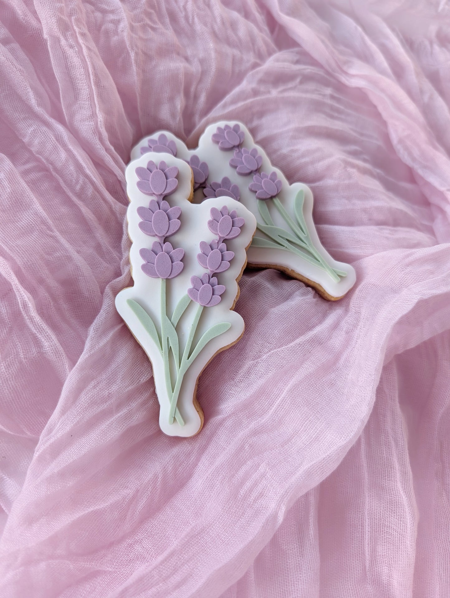 Lavender Flower