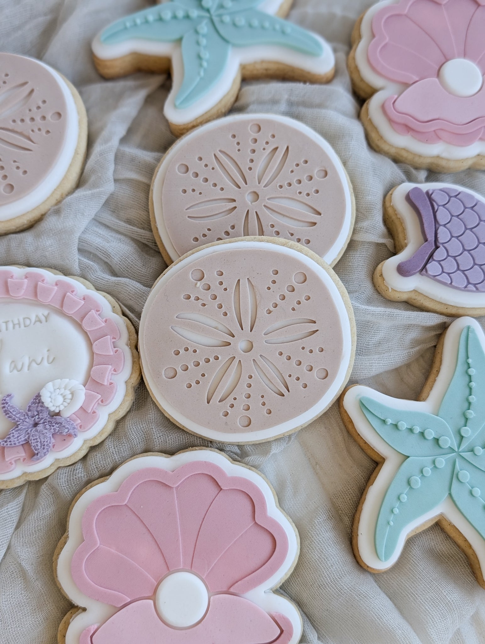Sand dollar shell – Batch Prints